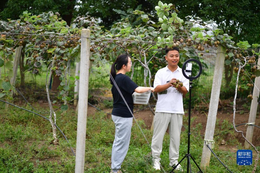 永利公司开户